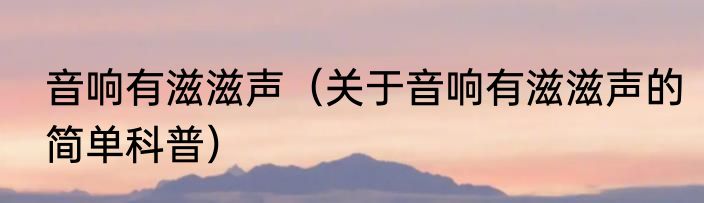 音响有滋滋声（关于音响有滋滋声的简单科普）