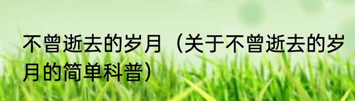 不曾逝去的岁月（关于不曾逝去的岁月的简单科普）