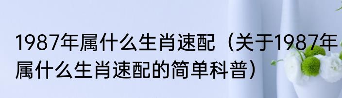 1987年属什么生肖速配（关于1987年属什么生肖速配的简单科普）