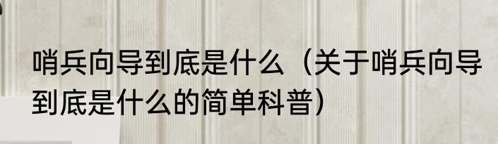 哨兵向导到底是什么（关于哨兵向导到底是什么的简单科普）