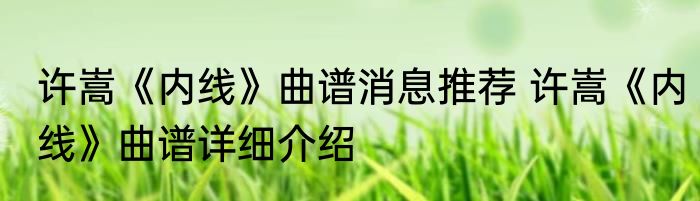 许嵩《内线》曲谱消息推荐 许嵩《内线》曲谱详细介绍