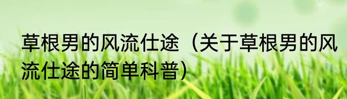 草根男的风流仕途（关于草根男的风流仕途的简单科普）