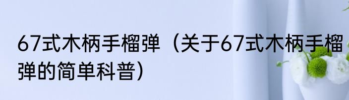 67式木柄手榴弹（关于67式木柄手榴弹的简单科普）