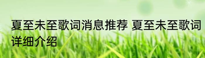 夏至未至歌词消息推荐 夏至未至歌词详细介绍