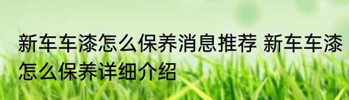 新车车漆怎么保养消息推荐 新车车漆怎么保养详细介绍