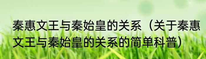 秦惠文王与秦始皇的关系（关于秦惠文王与秦始皇的关系的简单科普）