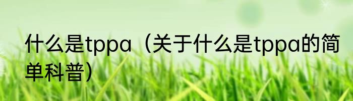 什么是tppa（关于什么是tppa的简单科普）