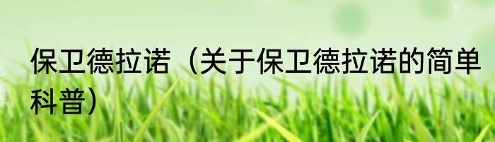 保卫德拉诺（关于保卫德拉诺的简单科普）