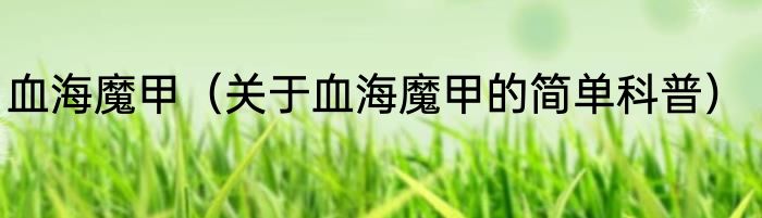 血海魔甲（关于血海魔甲的简单科普）