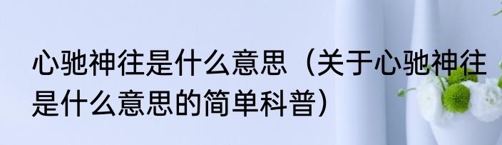 心驰神往是什么意思（关于心驰神往是什么意思的简单科普）