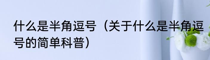 什么是半角逗号（关于什么是半角逗号的简单科普）