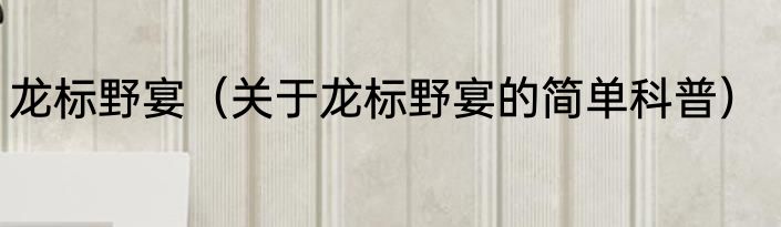 龙标野宴（关于龙标野宴的简单科普）