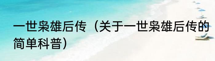 一世枭雄后传（关于一世枭雄后传的简单科普）