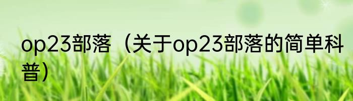 op23部落（关于op23部落的简单科普）