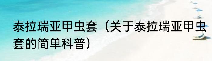 泰拉瑞亚甲虫套（关于泰拉瑞亚甲虫套的简单科普）