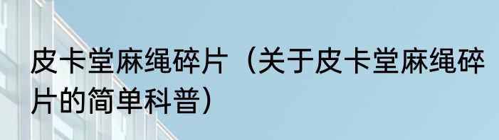 皮卡堂麻绳碎片（关于皮卡堂麻绳碎片的简单科普）