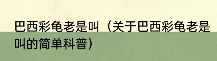 巴西彩龟老是叫（关于巴西彩龟老是叫的简单科普）