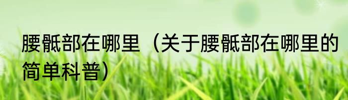 腰骶部在哪里（关于腰骶部在哪里的简单科普）