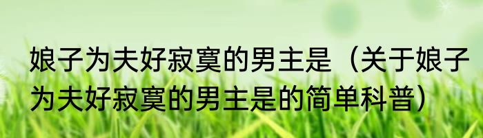 娘子为夫好寂寞的男主是（关于娘子为夫好寂寞的男主是的简单科普）