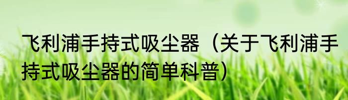 飞利浦手持式吸尘器（关于飞利浦手持式吸尘器的简单科普）