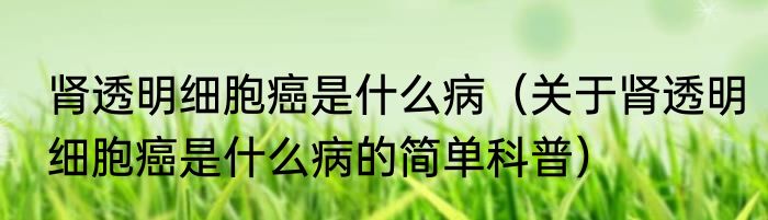 肾透明细胞癌是什么病（关于肾透明细胞癌是什么病的简单科普）