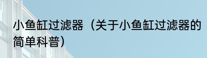小鱼缸过滤器（关于小鱼缸过滤器的简单科普）