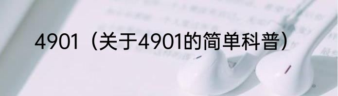 4901（关于4901的简单科普）