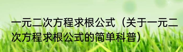 一元二次方程求根公式（关于一元二次方程求根公式的简单科普）