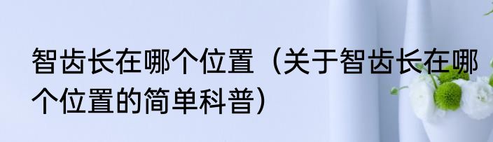 智齿长在哪个位置（关于智齿长在哪个位置的简单科普）