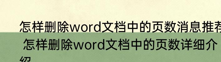 怎样删除word文档中的页数消息推荐 怎样删除word文档中的页数详细介绍