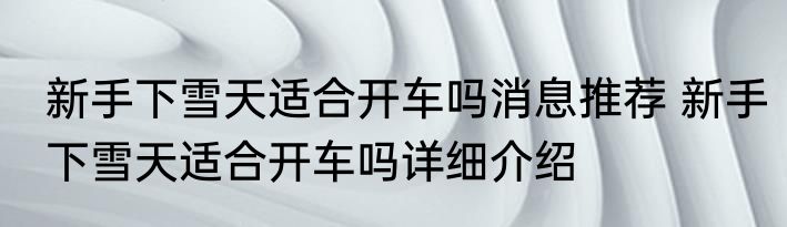 新手下雪天适合开车吗消息推荐 新手下雪天适合开车吗详细介绍