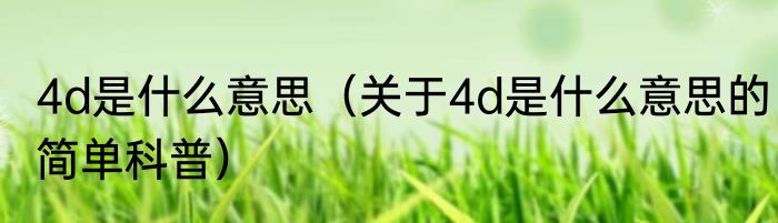 4d是什么意思（关于4d是什么意思的简单科普）