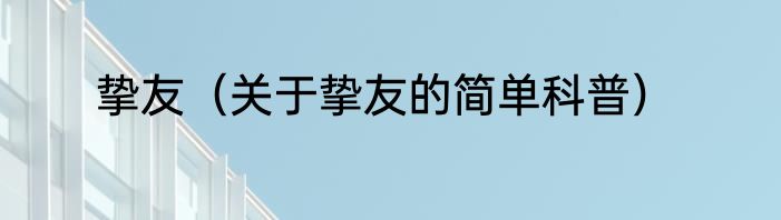 挚友（关于挚友的简单科普）