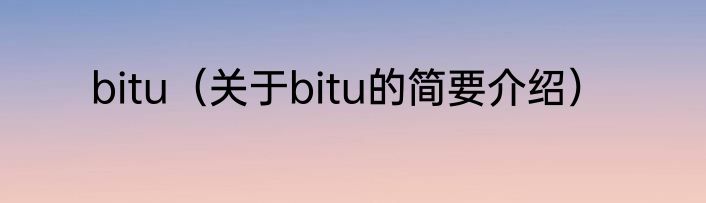bitu（关于bitu的简要介绍）