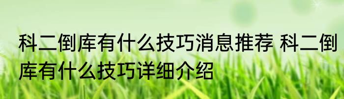 科二倒库有什么技巧消息推荐 科二倒库有什么技巧详细介绍