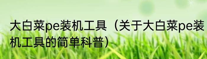 大白菜pe装机工具（关于大白菜pe装机工具的简单科普）