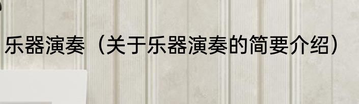 乐器演奏（关于乐器演奏的简要介绍）