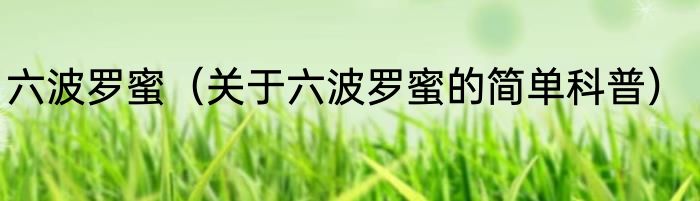 六波罗蜜（关于六波罗蜜的简单科普）