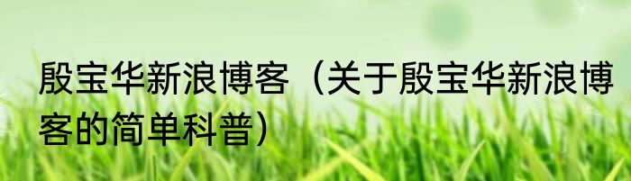 殷宝华新浪博客（关于殷宝华新浪博客的简单科普）