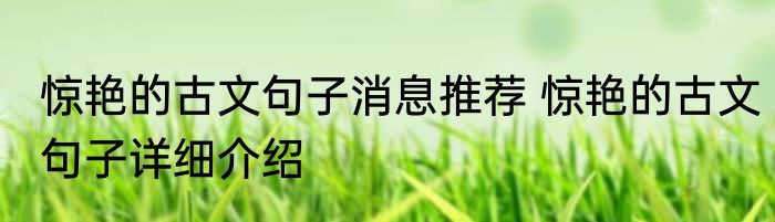 惊艳的古文句子消息推荐 惊艳的古文句子详细介绍