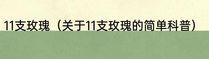 11支玫瑰（关于11支玫瑰的简单科普）