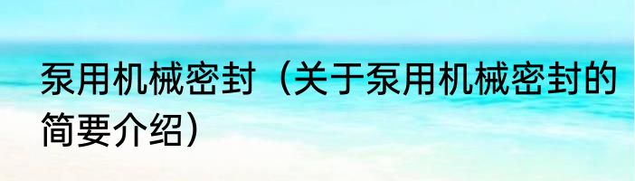 泵用机械密封（关于泵用机械密封的简要介绍）