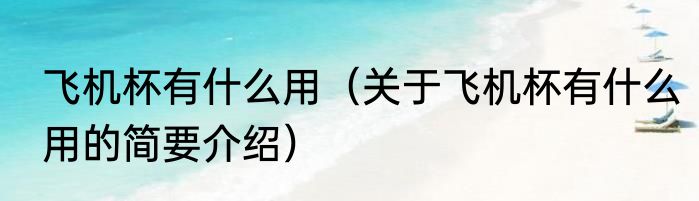 飞机杯有什么用（关于飞机杯有什么用的简要介绍）