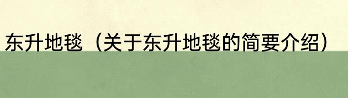 东升地毯（关于东升地毯的简要介绍）