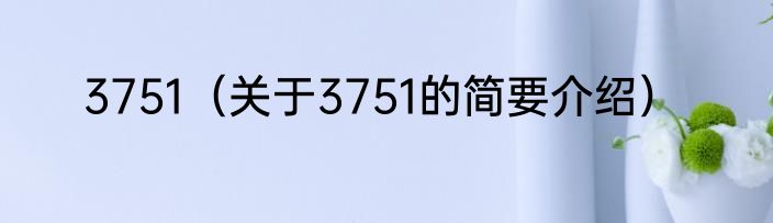3751（关于3751的简要介绍）