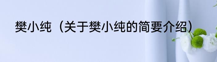 樊小纯（关于樊小纯的简要介绍）