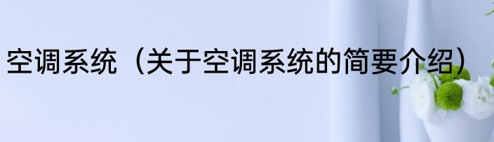 空调系统（关于空调系统的简要介绍）