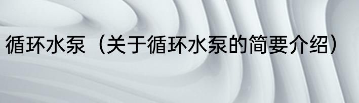 循环水泵（关于循环水泵的简要介绍）