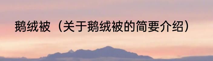 鹅绒被(关于鹅绒被的简要介绍)