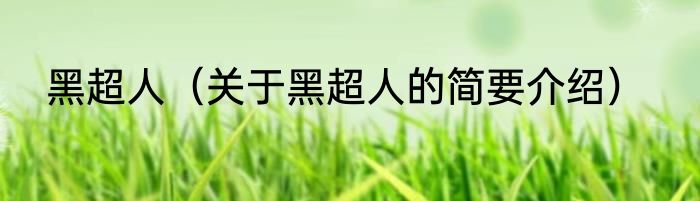 黑超人（关于黑超人的简要介绍）